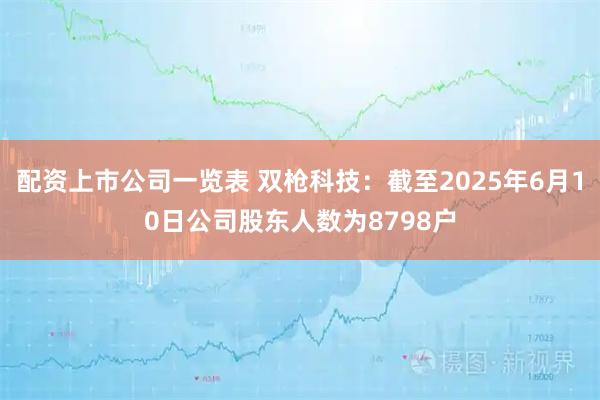 配资上市公司一览表 双枪科技：截至2025年6月10日公司股东人数为8798户